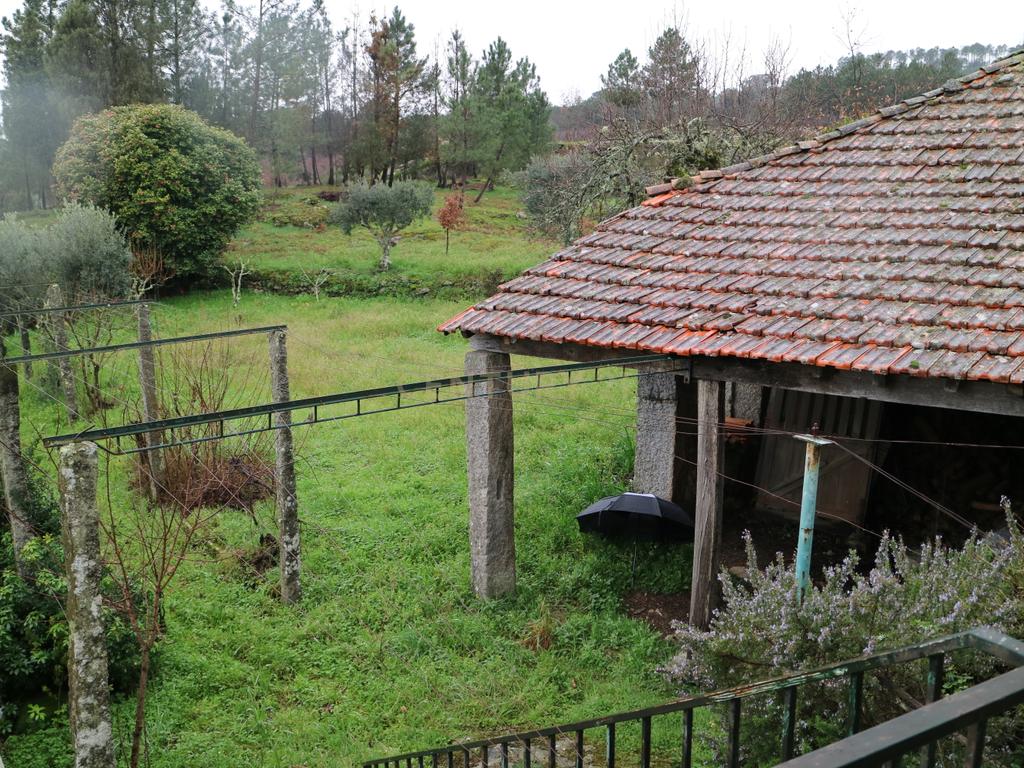 Moradia isolada em Pedra - Penalva do Castelo - Image 9