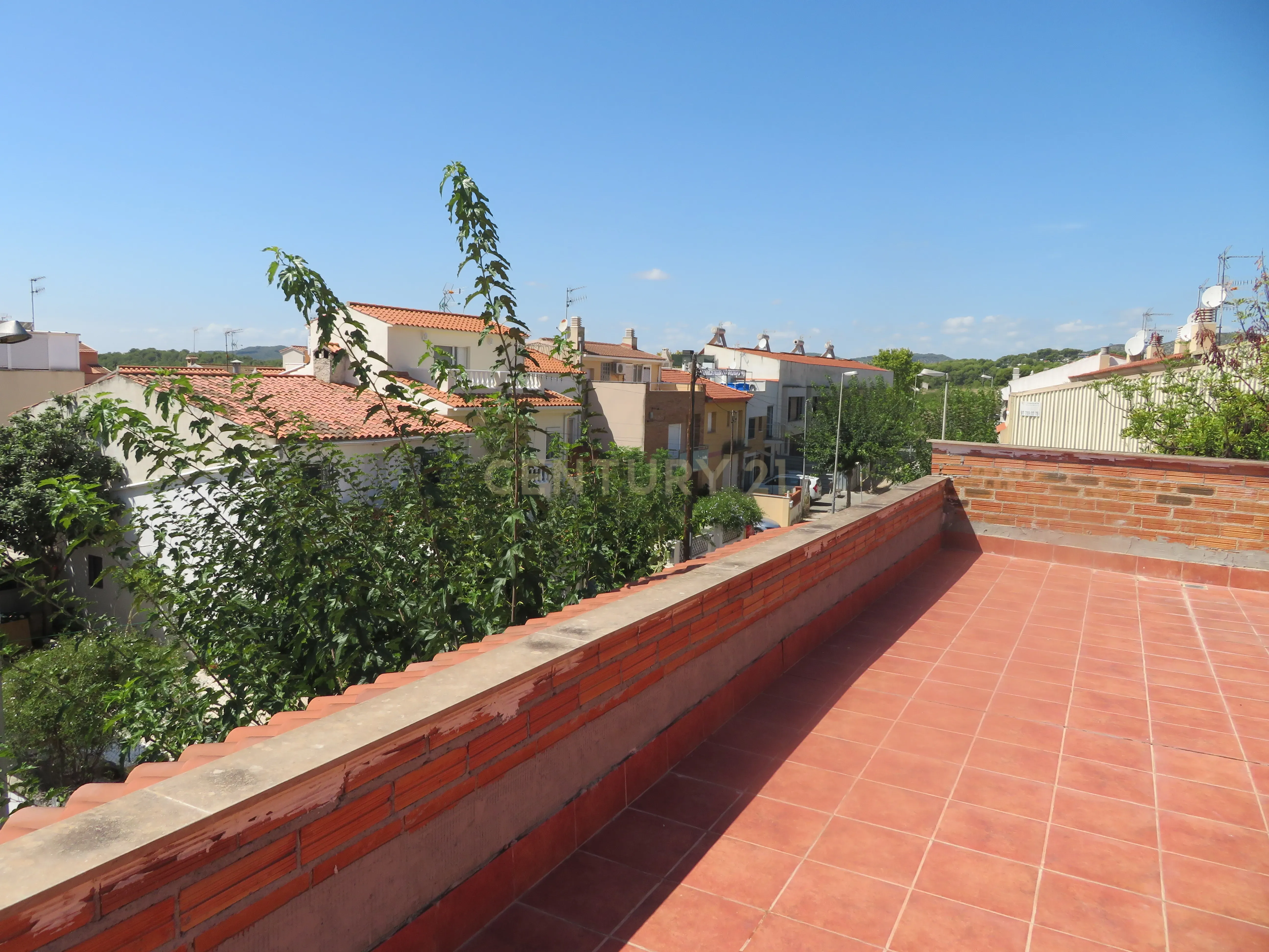 undefined - Image 8
