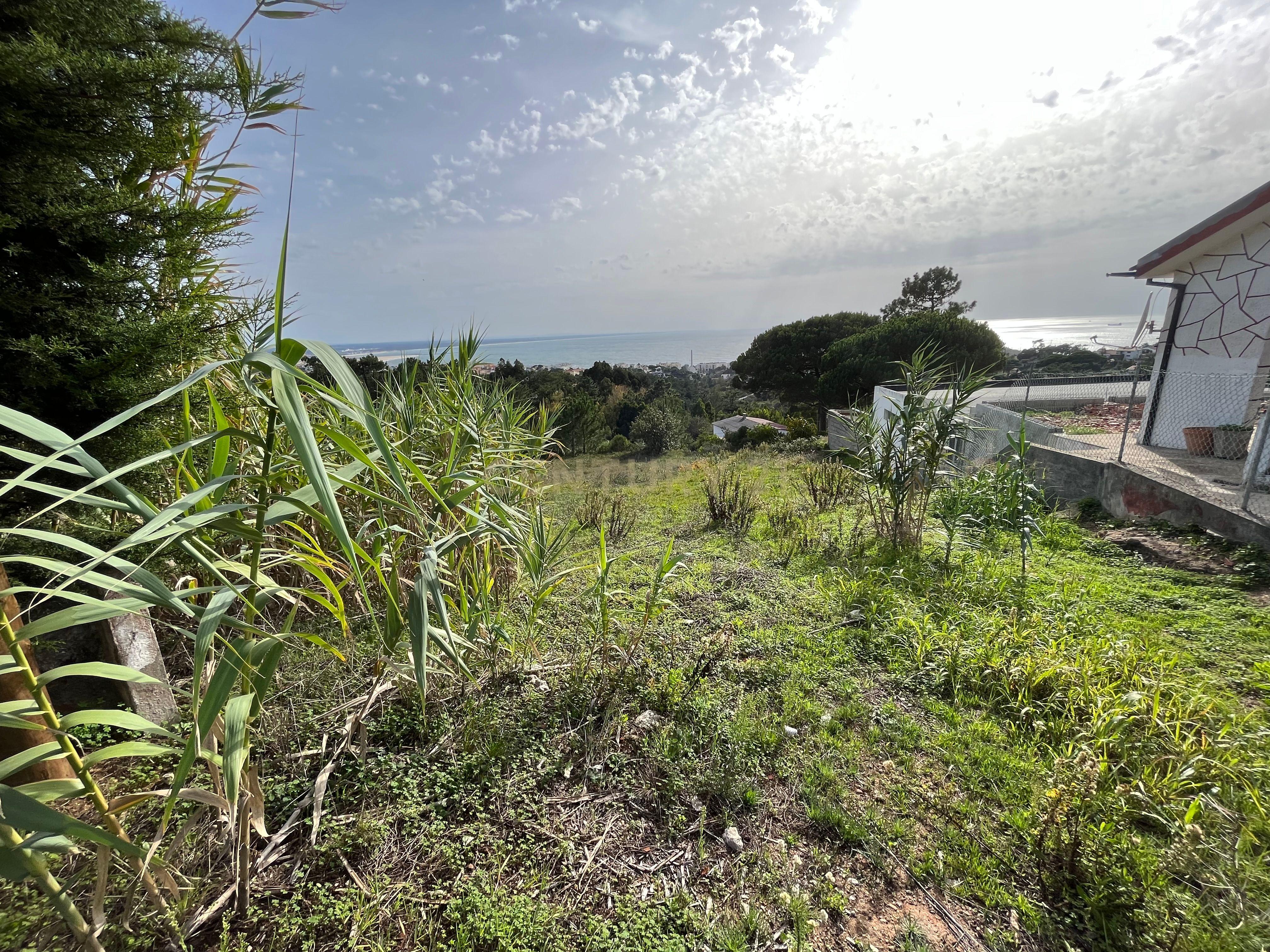 Terreno com vista mar na Serra Boa Viagem, Figueira-da-Foz - Image 2