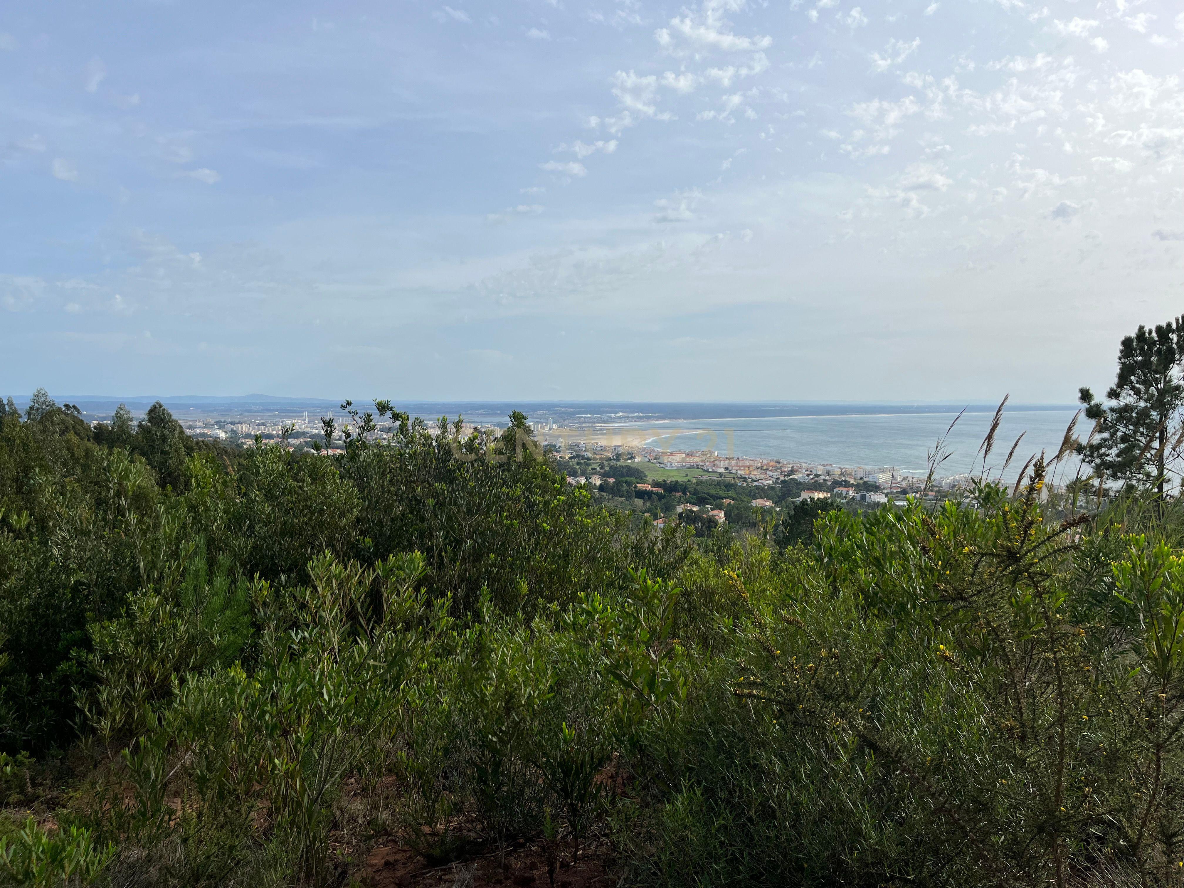 Terreno com vista mar na Serra Boa Viagem, Figueira-da-Foz - Image 1