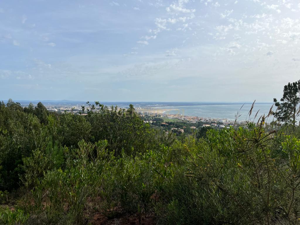 Terreno com  vista mar na Serra Boa Viagem, Figueira-da-Foz - Image 1