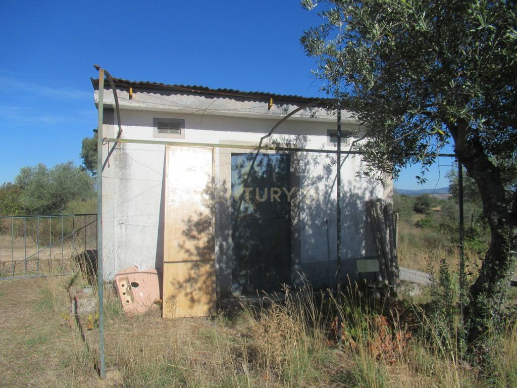 Terreno Rústico | Lousa, Castelo Branco - Image 8