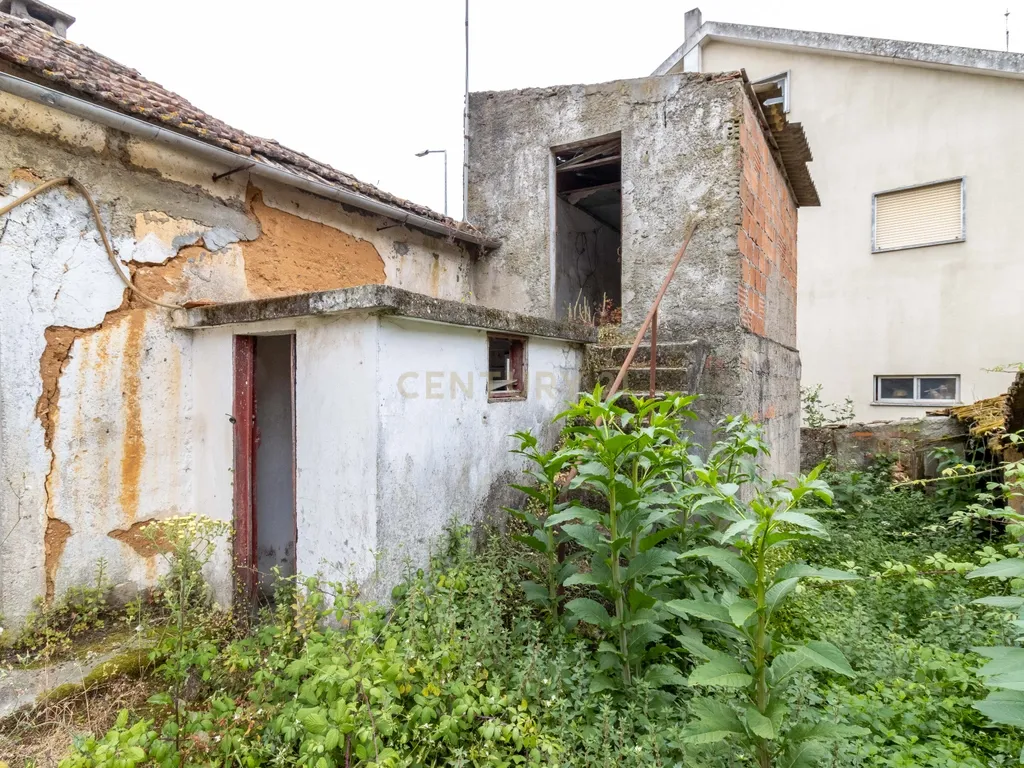 Moradia T2-r/chão para reconstruir em Pombal. - Image 13