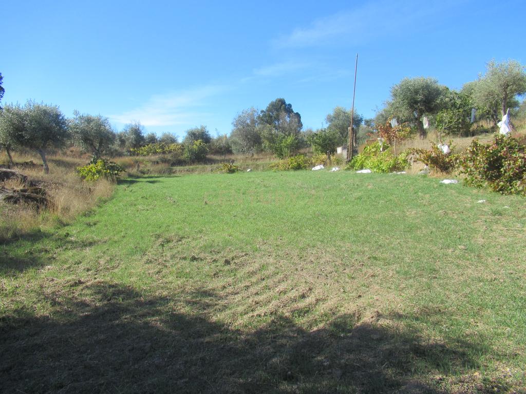 Terreno Rústico | Lousa, Castelo Branco - Image 1