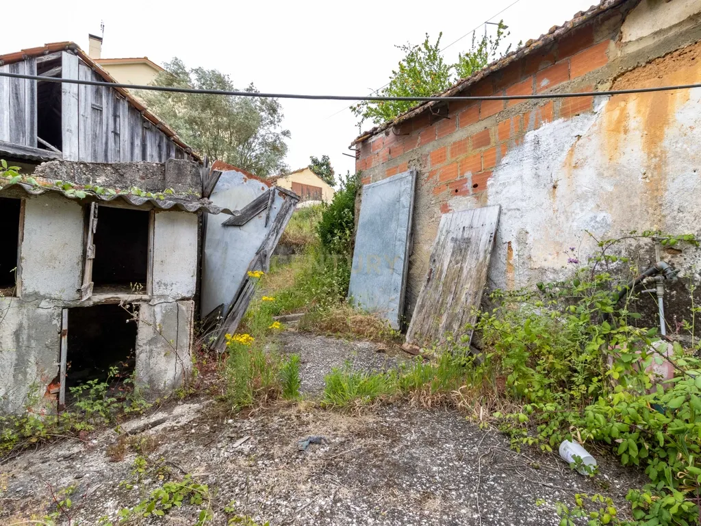 Moradia T2-r/chão para reconstruir em Pombal. - Image 16