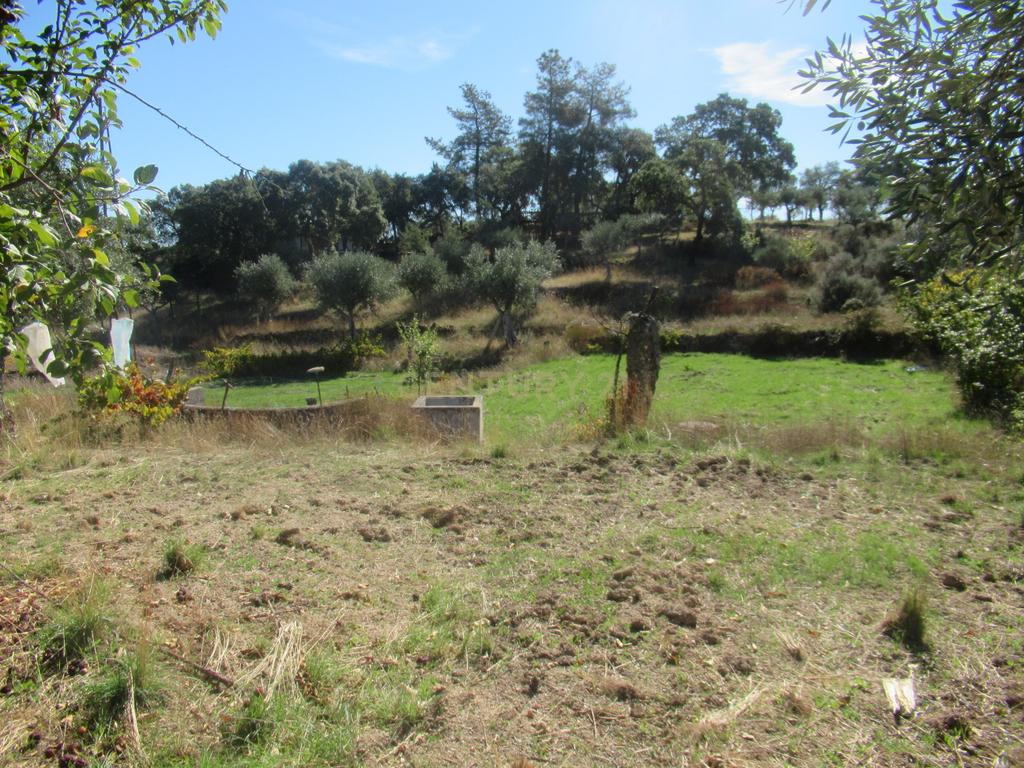 Terreno Rústico | Lousa, Castelo Branco - Image 16