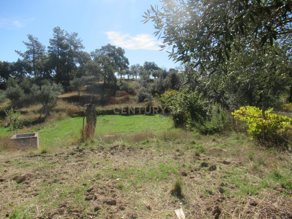 Terreno Rústico | Lousa, Castelo Branco - Image 14