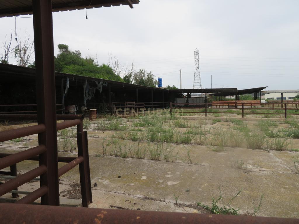 undefined - Image 13