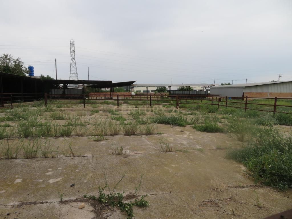 undefined - Image 10