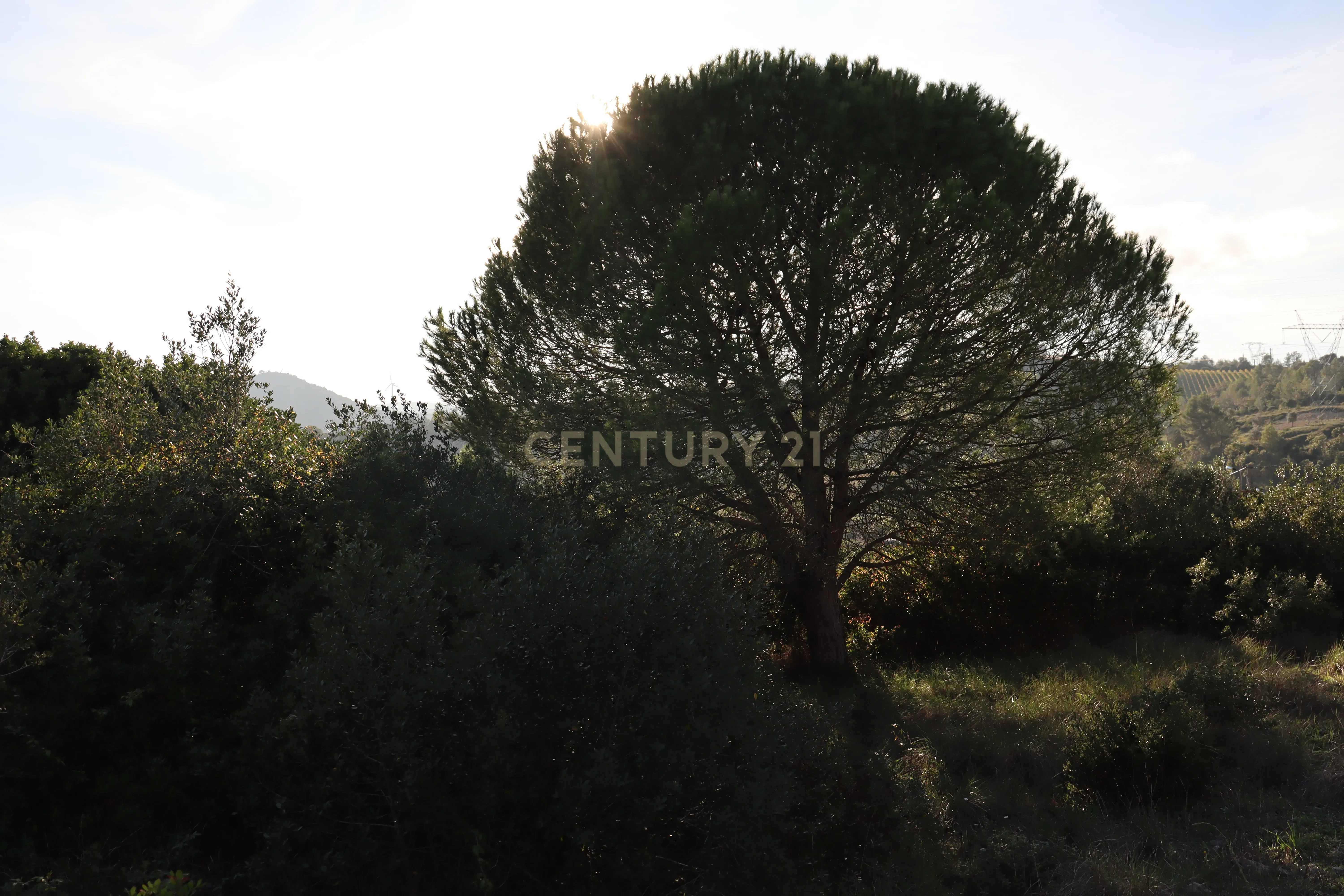 Land for sale in Loures, Portugal — €320,000