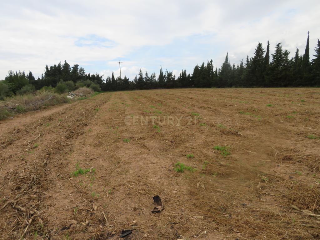 undefined - Image 16