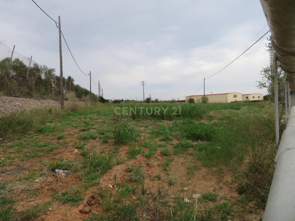 undefined - Image 15