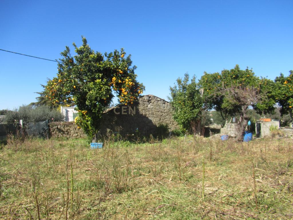 Terreno Rústico | Lousa, Castelo Branco - Image 19
