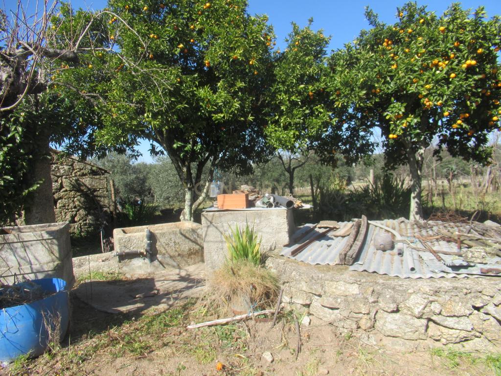 Terreno Rústico | Lousa, Castelo Branco - Image 1