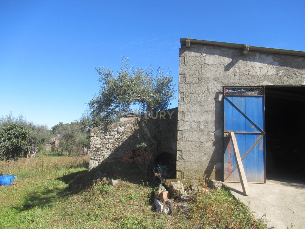 Terreno Rústico | Lousa, Castelo Branco - Image 14