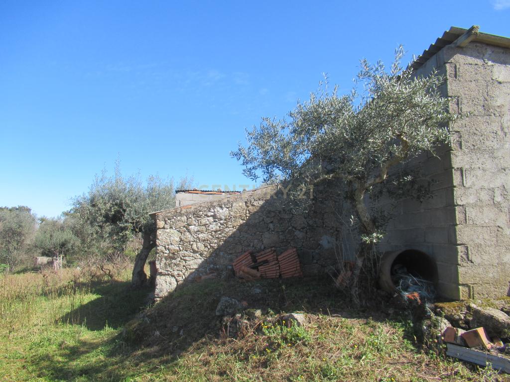 Terreno Rústico | Lousa, Castelo Branco - Image 15