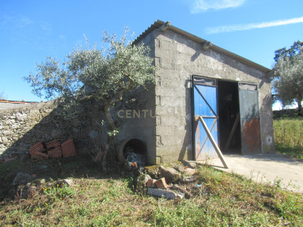 Terreno Rústico | Lousa, Castelo Branco - Image 4
