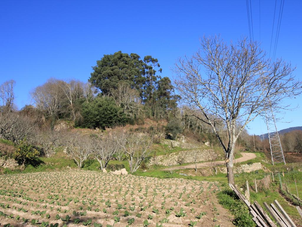 Quinta para restauro com vistas Rio Tâmega - Image 31