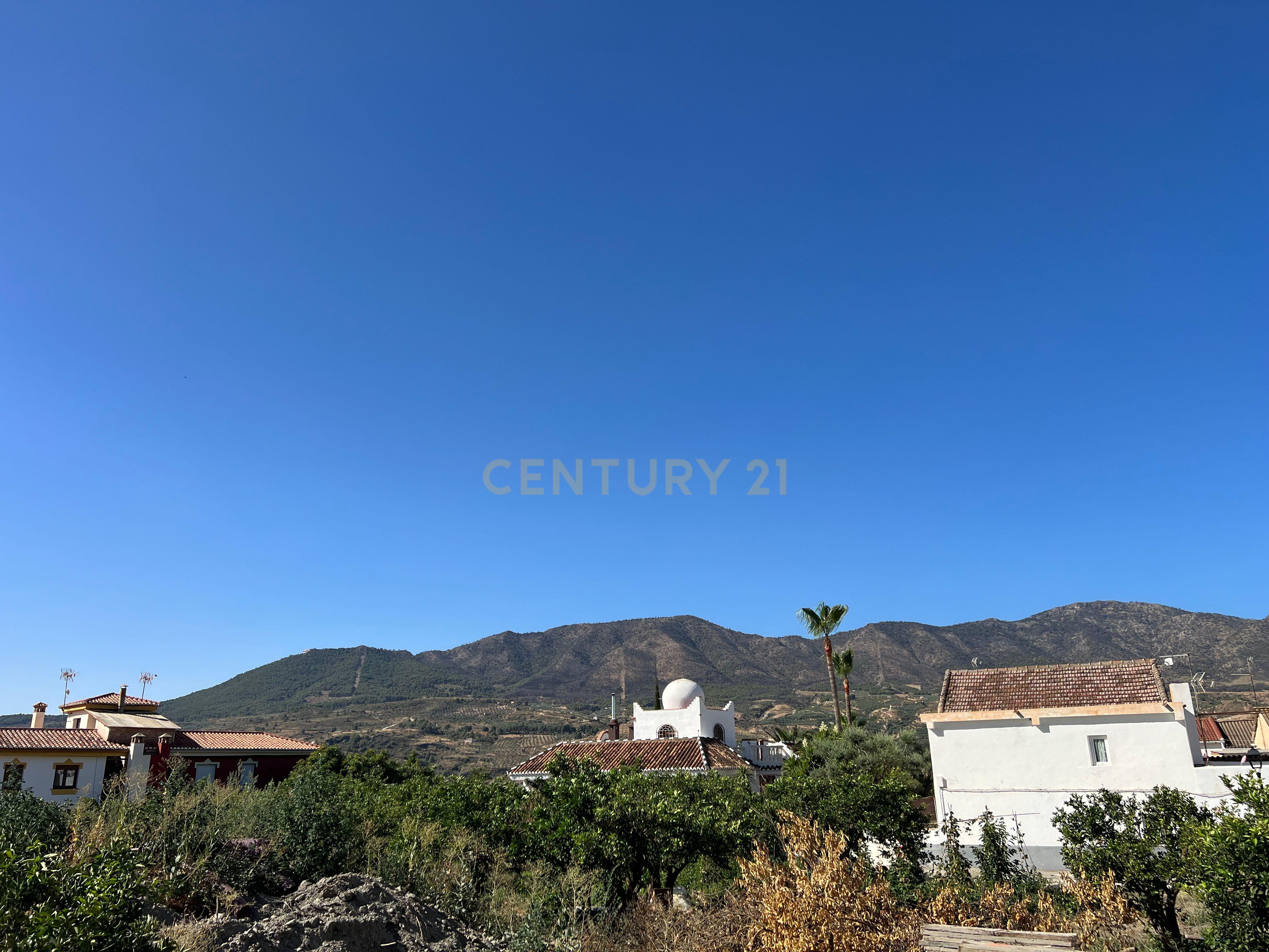 undefined - Image 10