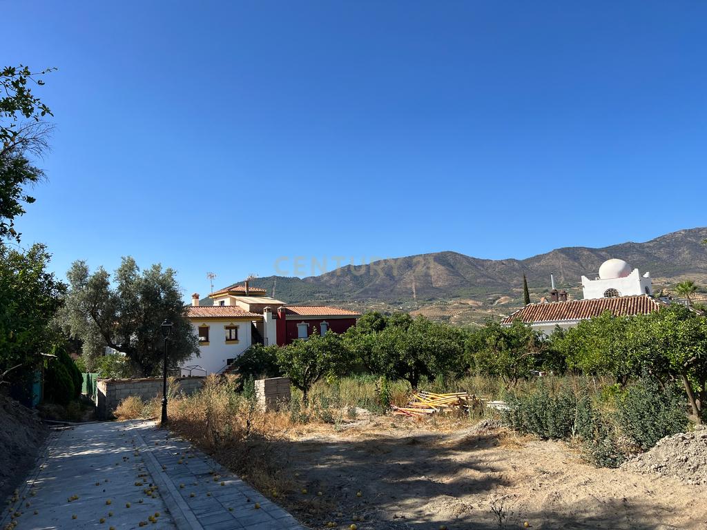 undefined - Image 11