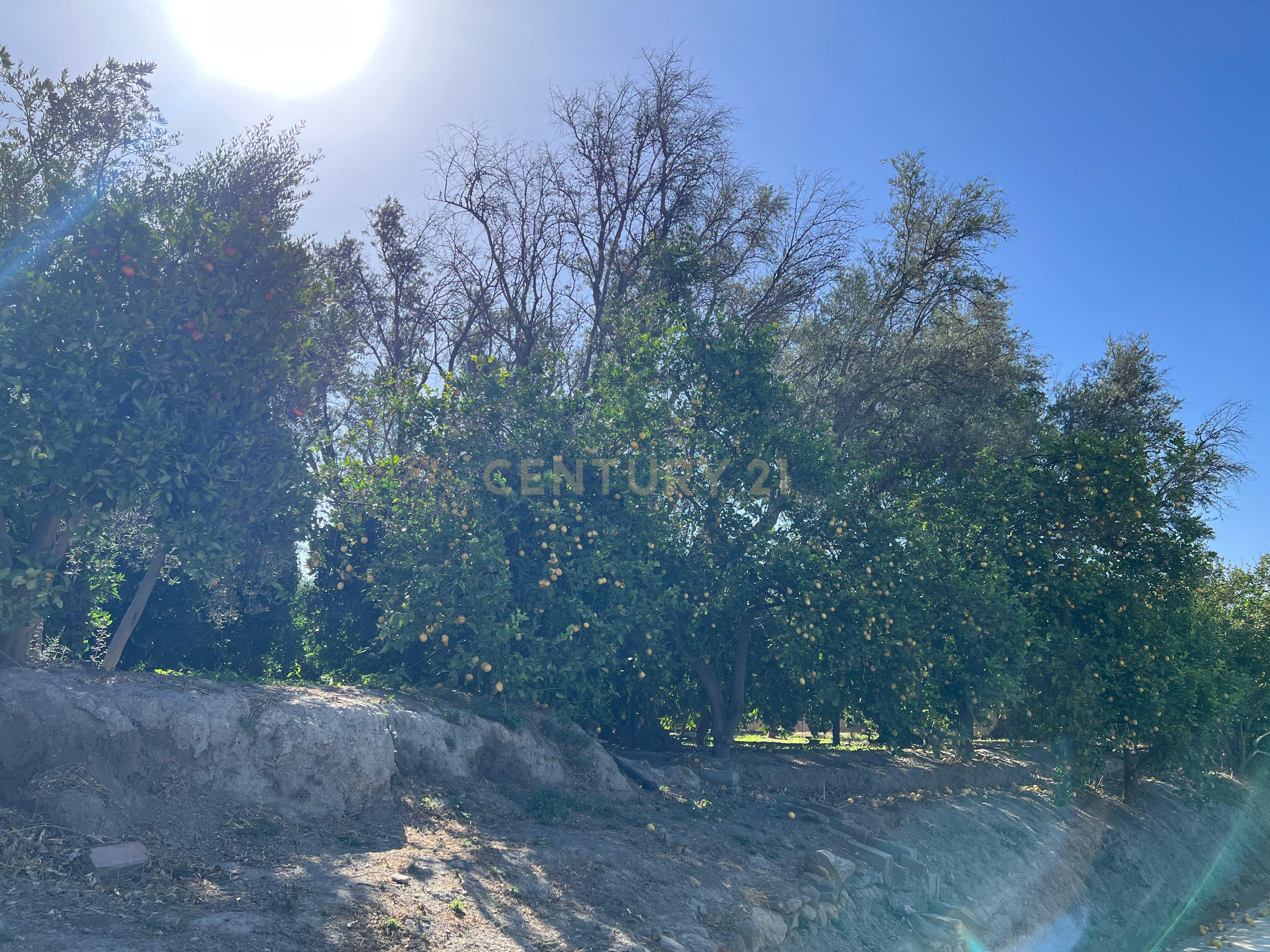 undefined - Image 12