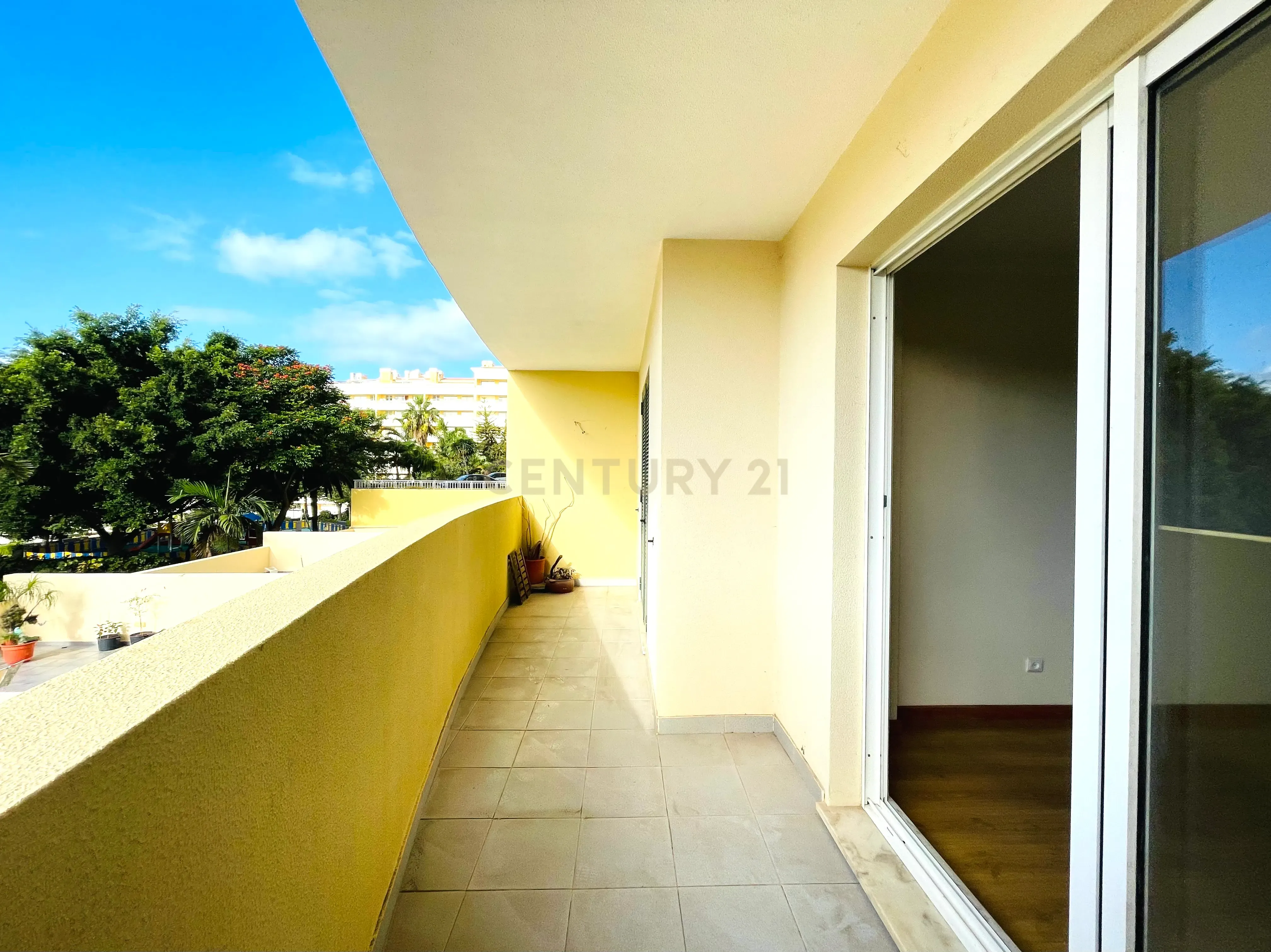 Apartamento T3 - Piornais - Funchal - Image 9