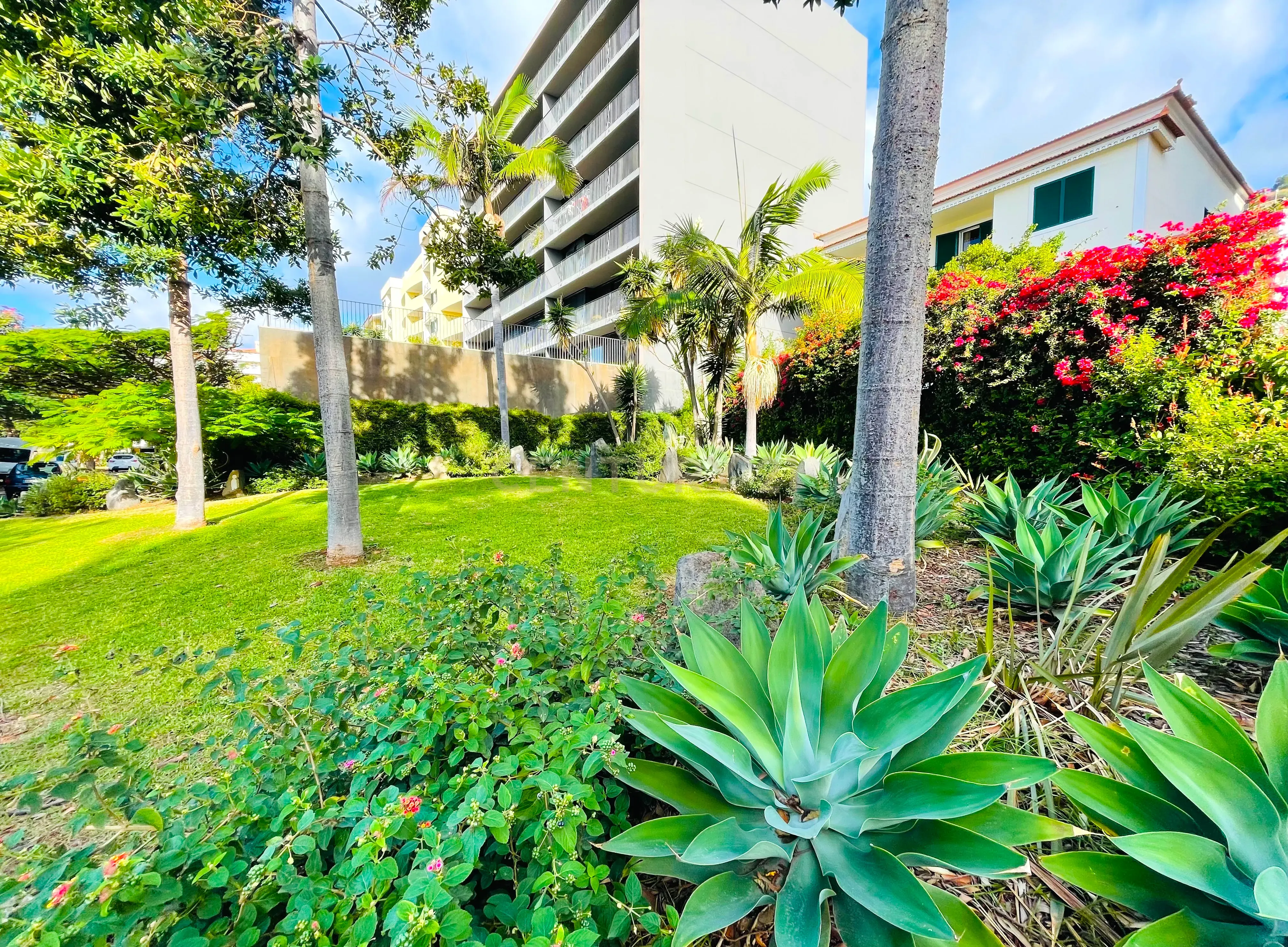 Apartamento T3 - Piornais - Funchal - Image 3