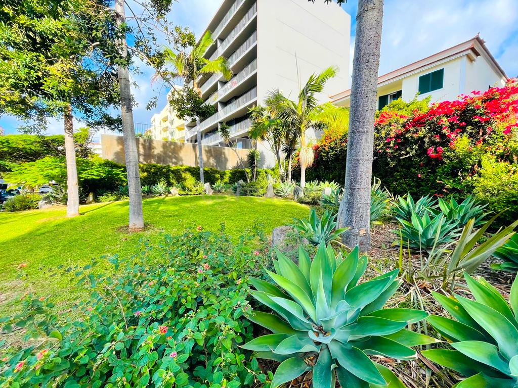 Apartamento T3 - Piornais - Funchal - Image 3