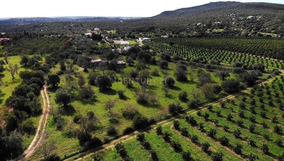 Terreno Rústico com 15.840m2  à Venda em Moncarapacho – Álamo - Image 11