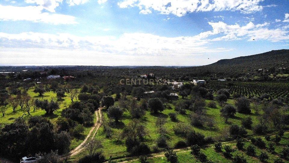 Terreno Rústico com 15.840m2  à Venda em Moncarapacho – Álamo - Image 10