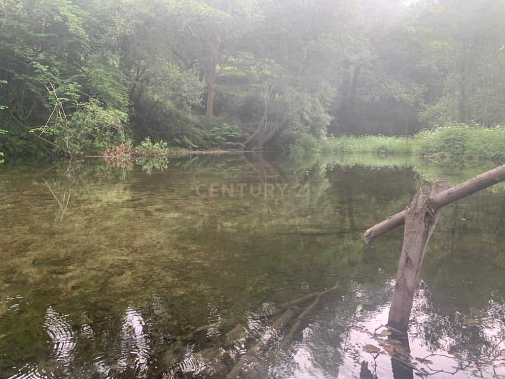 Terreno no Gerês a confrontar com rio Homem, e junto á praia fluvial da Lagoa e da Foz do Rio Rodas - Image 26