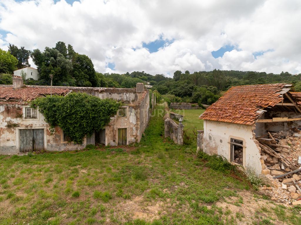 Oportunidade Única: Terreno Urbano em Alcobaça - Image 10