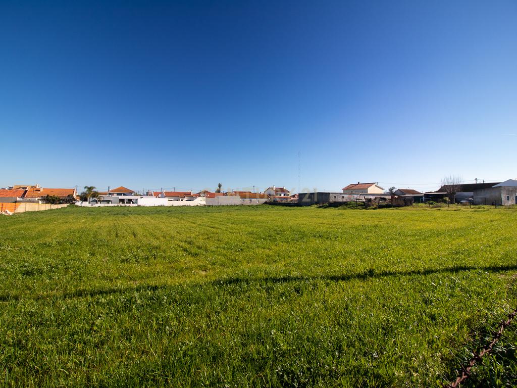 Oportunidade Imperdível: Terreno para Construção em Alhos Vedros - Moita 6.000m2 - Image 4