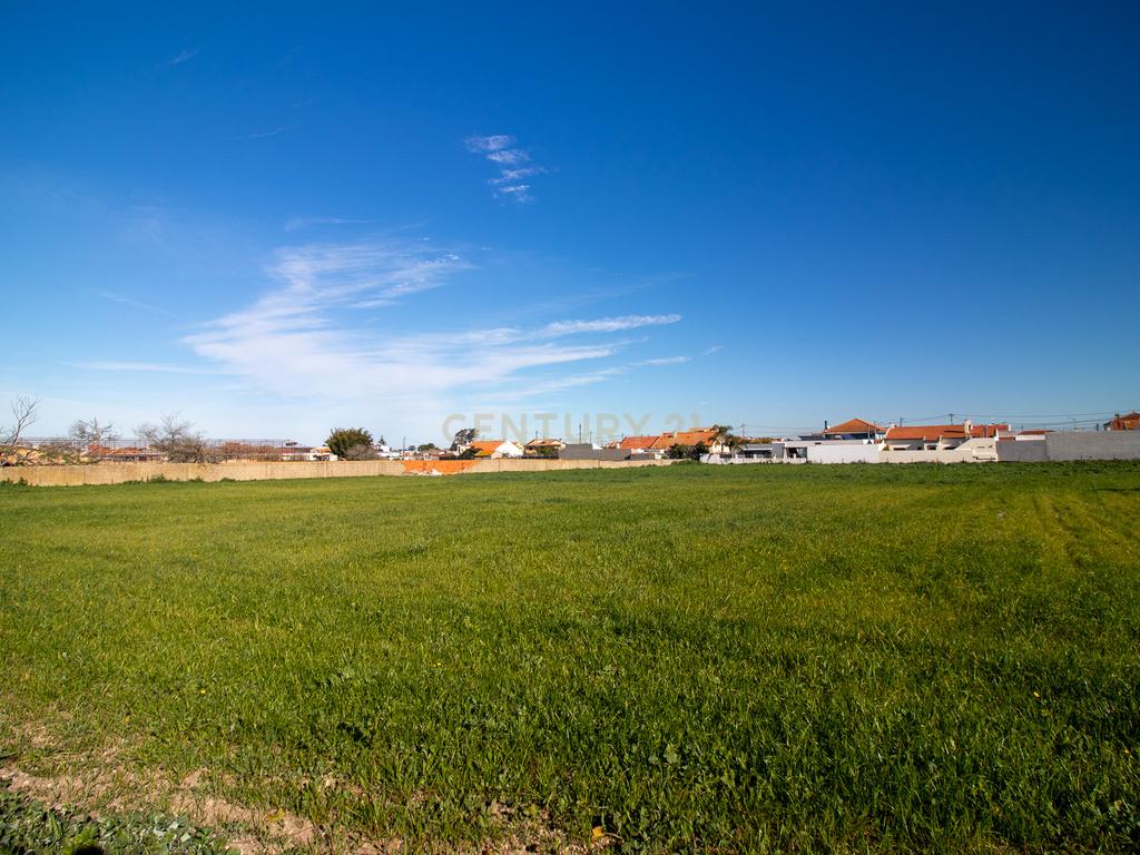 Oportunidade Imperdível: Terreno para Construção em Alhos Vedros - Moita 6.000m2 - Image 5