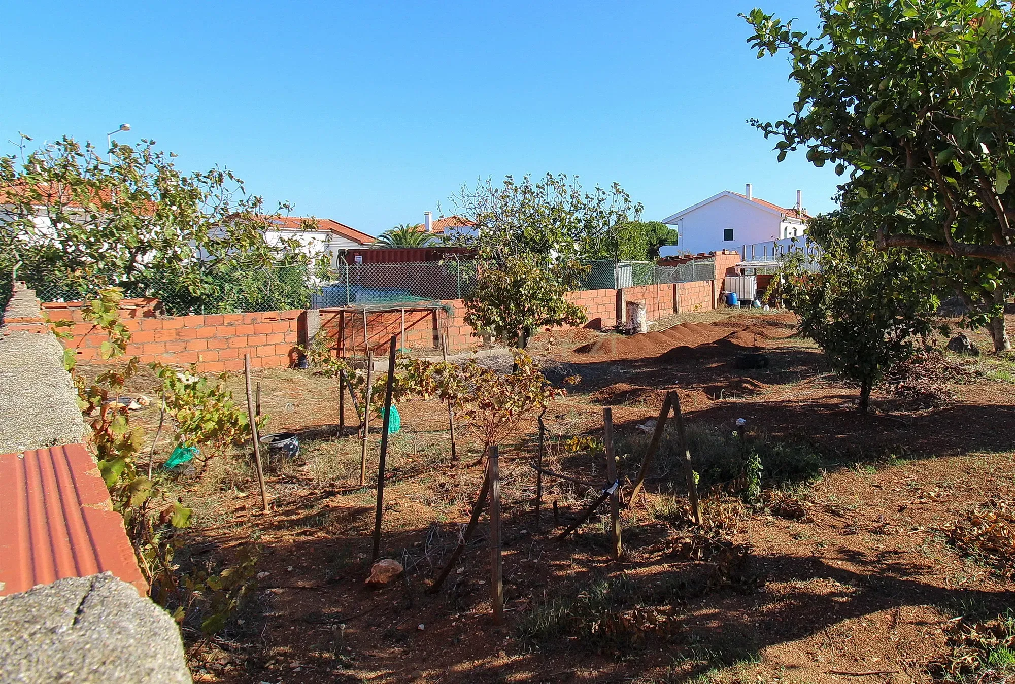 Terreno Rústico (urbanizável) - São Domingos de Rana (Outeiro de Polima) - Image 5