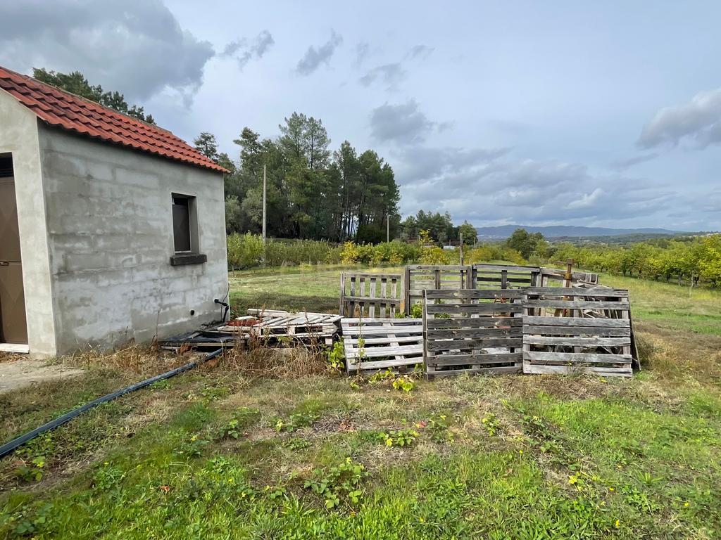 Terreno com Casa | Alcaide, Fundão - Image 7