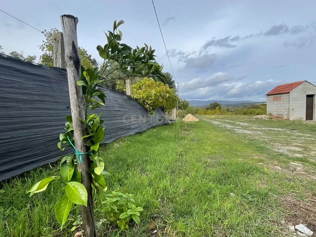 Terreno com Casa | Alcaide, Fundão - Image 22