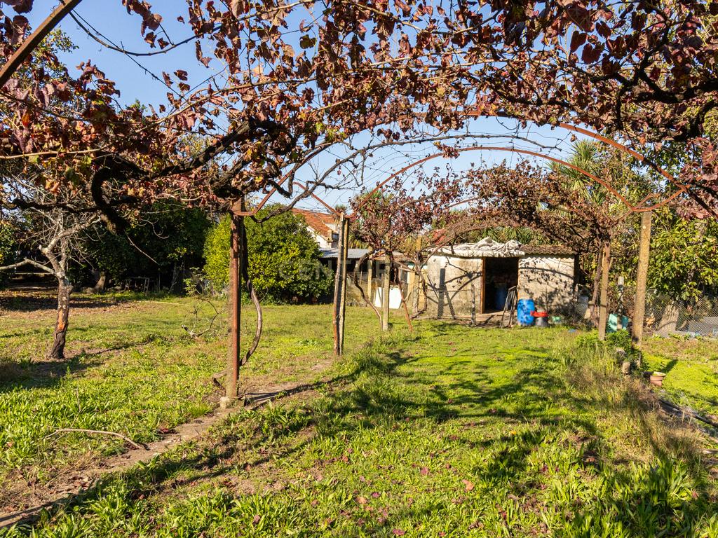 Quinta Clássica no Coração de Santo Tirso – Século XIX - Image 32