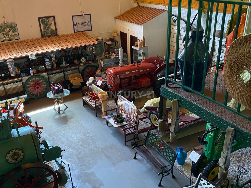 Pequena Quinta, com a área de 1,9304ha, situada na EN4, á entrada de Montemor-o-Novo. - Image 42