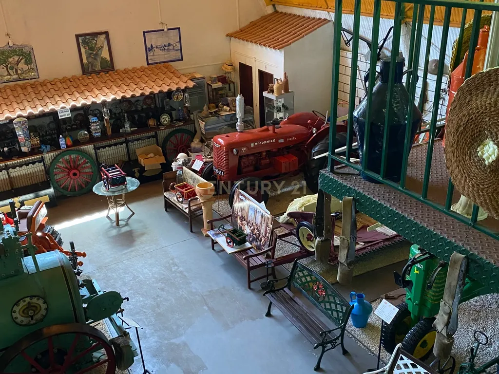 Pequena Quinta, com a área de 1,9304ha, situada na EN4, á entrada de Montemor-o-Novo. - Image 42