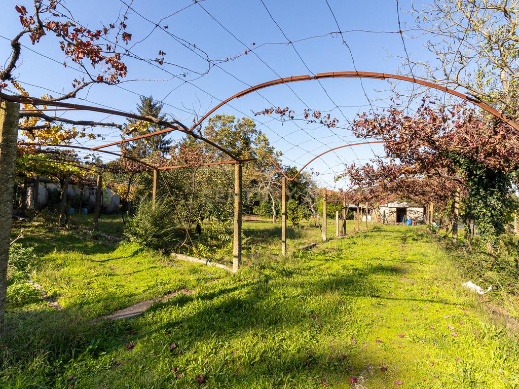 Quinta Clássica no Coração de Santo Tirso – Século XIX - Image 49