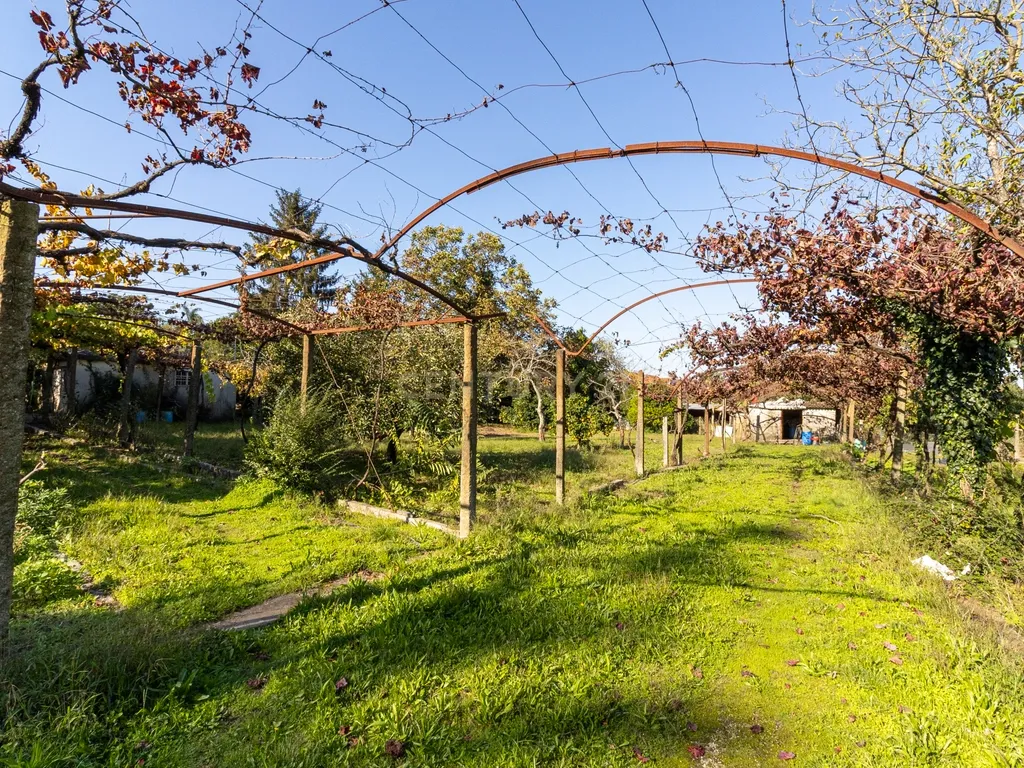 Quinta Clássica no Coração de Santo Tirso – Século XIX - Image 5