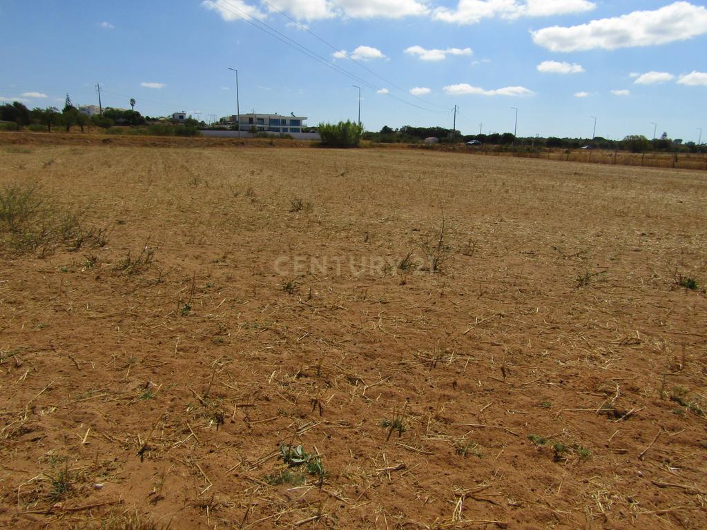 Terreno em Pera - Image 1