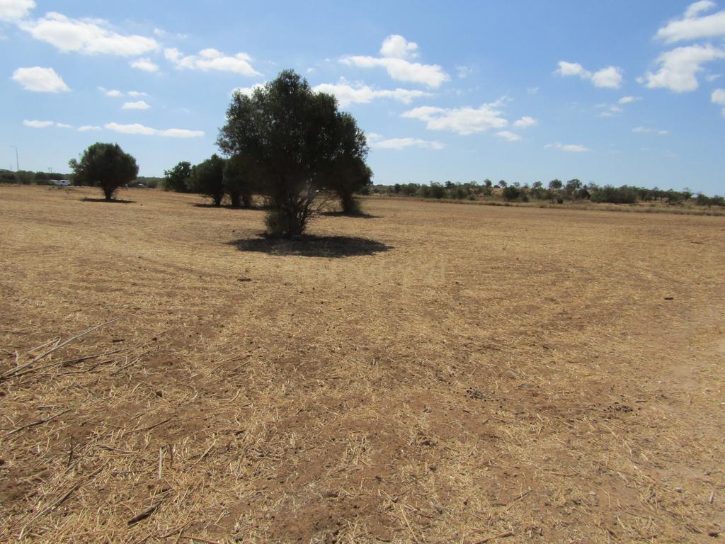 Terreno em Pera - Image 2