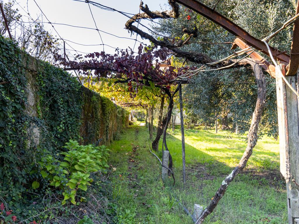 Quinta Clássica no Coração de Santo Tirso – Século XIX - Image 47