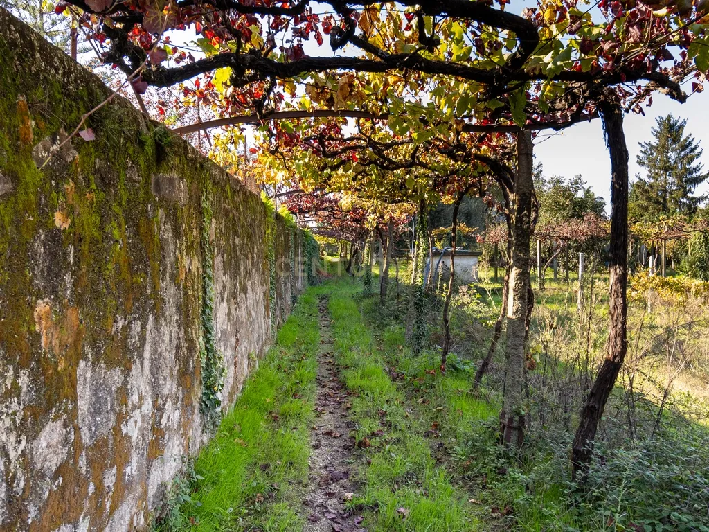 Quinta Clássica no Coração de Santo Tirso – Século XIX - Image 62