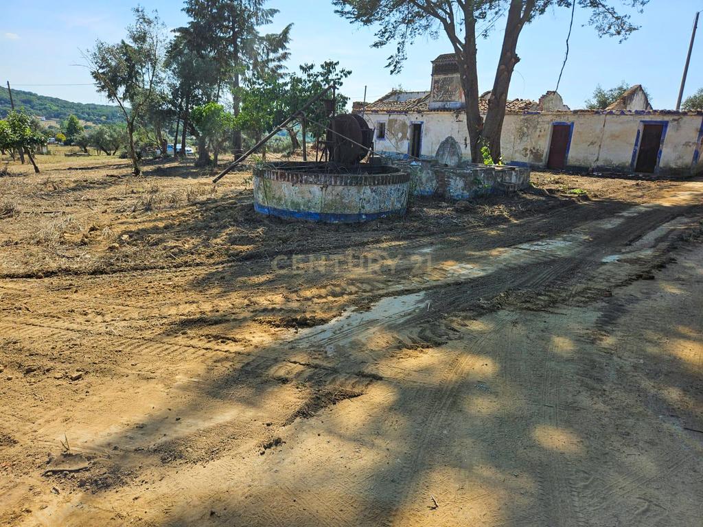 Lote de Terreno com Ruína em Montemor-o-Novo - Image 2