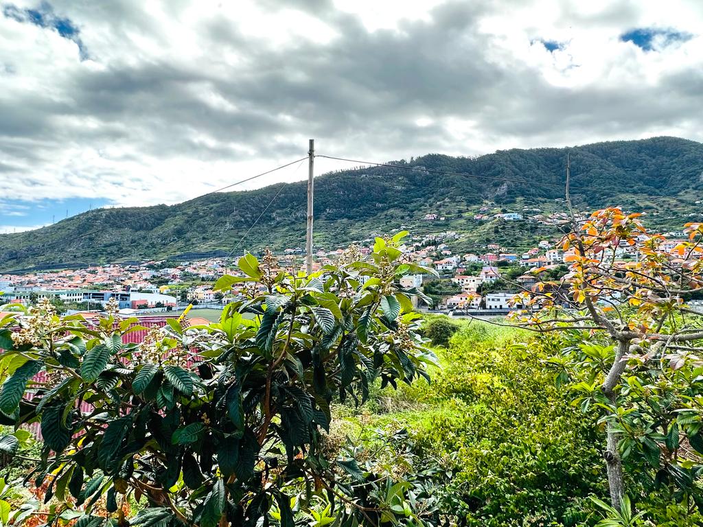 Terreno com moradia para recuperar no Poço Gil - Machico - Image 16