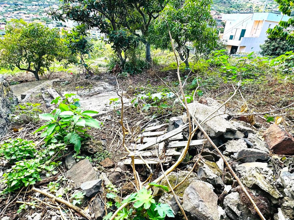 Terreno com moradia para recuperar no Poço Gil - Machico - Image 17