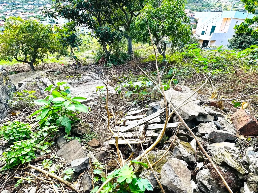 Terreno com moradia para recuperar no Poço Gil - Machico - Image 17